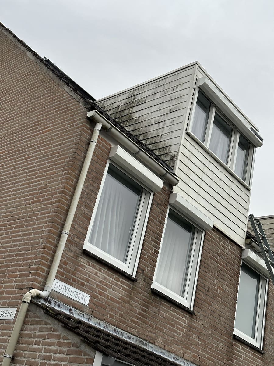Dakkapel met mos en aanslag, vóór de dakreiniging