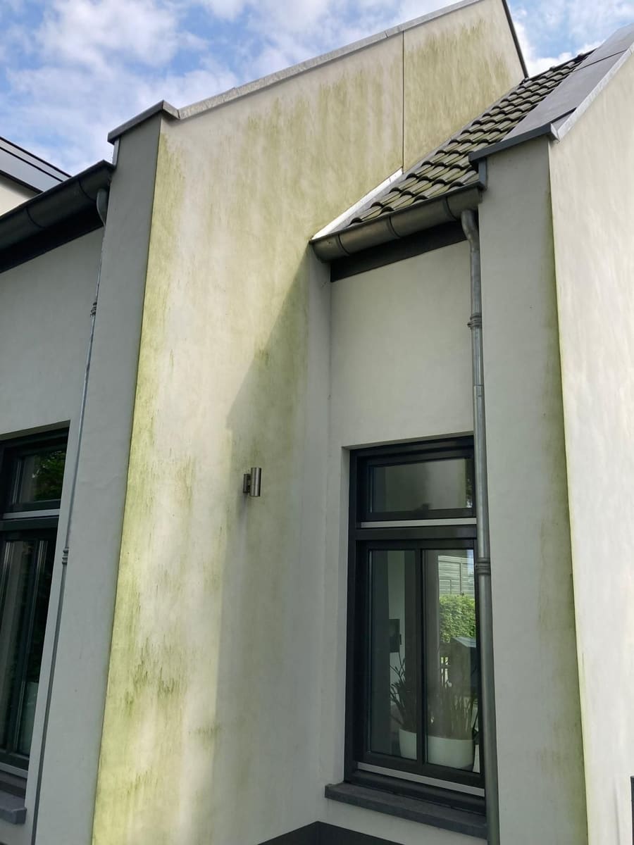 Moderne stucwoning met algengroei op de gevel, vóór reiniging
