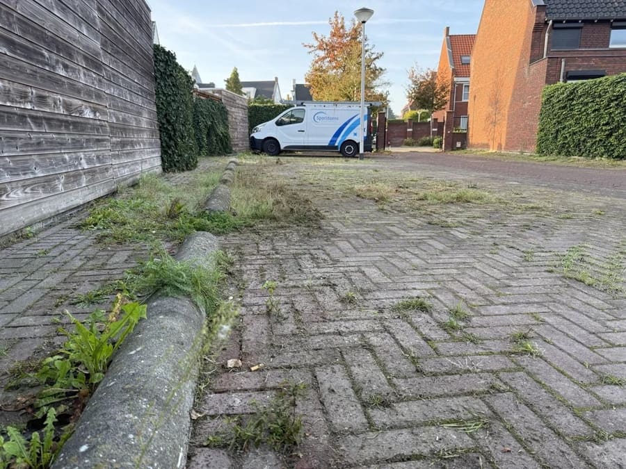 Bestrating met onkruid tussen de voegen en langs de parkeerbanden, voor de behandeling